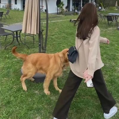 银河系漫游指南